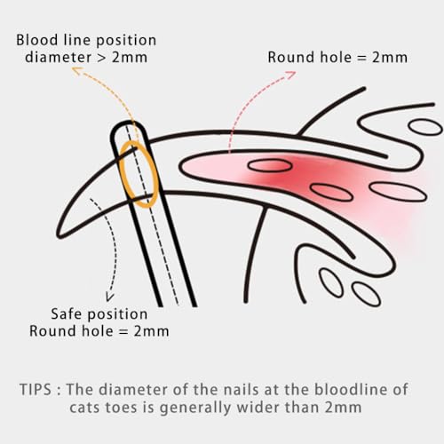 Qpets® Cat Nail Cutter for Persian Cat Cute Clipper Bear Design Nail Cutter for Stainless Steel Brown Trimmer PP Handle Pet Small Pets X3 Qpets® Cat Nail Cutter for Persian Cat Cute Clipper Bear Design Nail Cutter for Stainless Steel Brown Trimmer PP Handle Pet Small Pets X3
